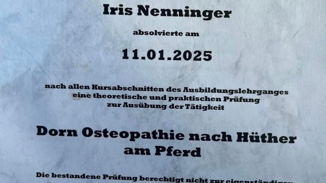 1 Jahr Dorn-Osteopathie